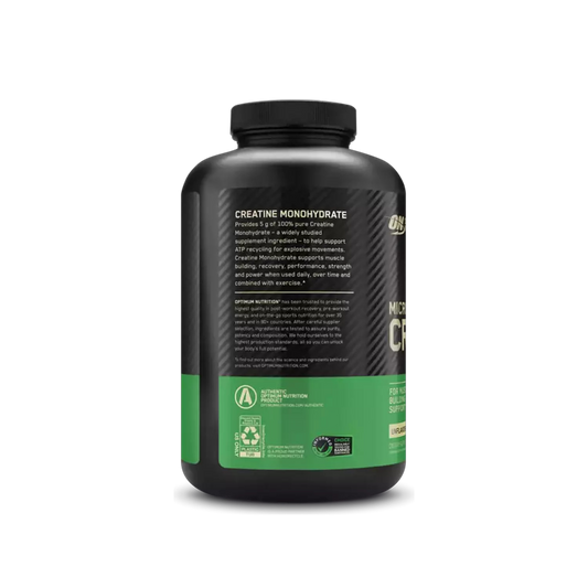 Optimum Nutrition Creatine Micronized – 600g – 120Serv