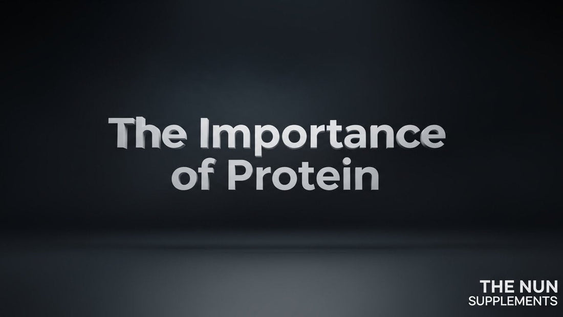 البروتين والزيادة العضلية